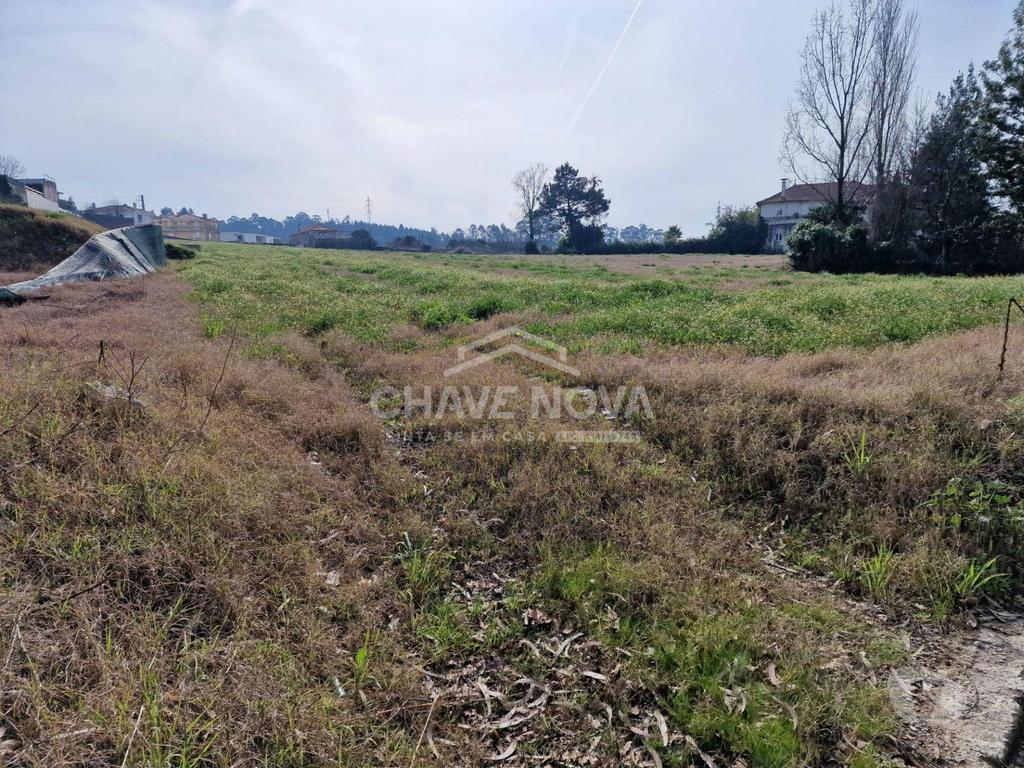 Comprar Loja Trofa - Fotos para Terreno p Loteamento (Viabilidade de 25 Lotes), Trofa...