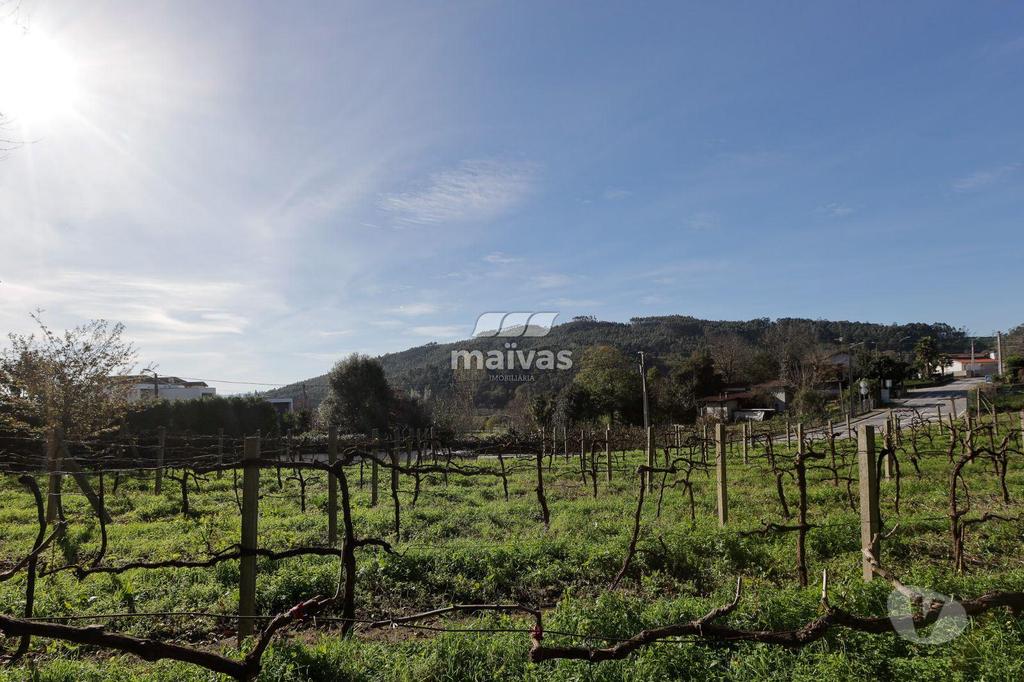 Terrenos Guimarães - Fotos para Terreno rústico, para venda, Guimarães - Leitões, Oleiros e