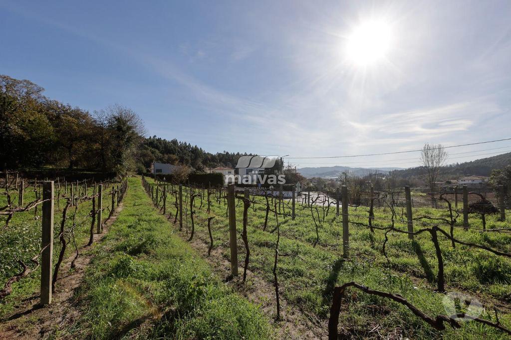 Terrenos Guimarães - Fotos para Terreno rústico, para venda, Guimarães - Leitões, Oleiros e