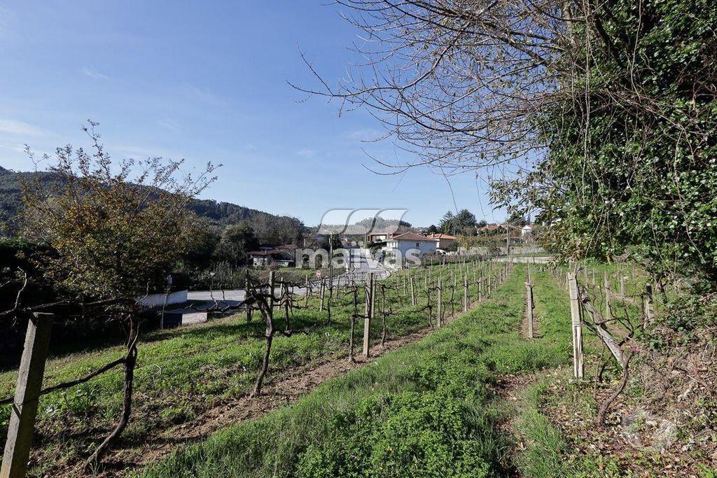 Terrenos Guimarães - Fotos para Terreno rústico, para venda, Guimarães - Leitões, Oleiros e