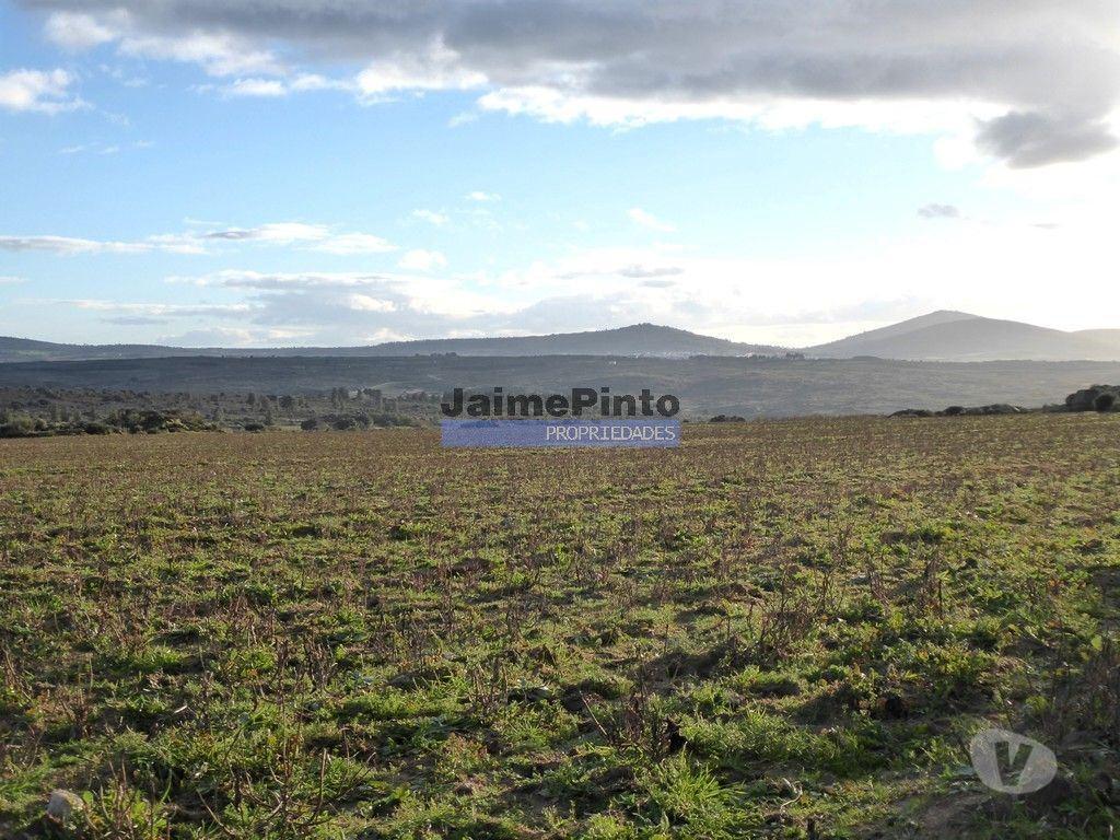 Terrenos Figueira de Castelo Rodrigo - Fotos para Propriedade 135.000m2 de terra p plantações novas. Portugal,