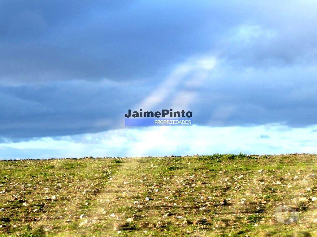 Terrenos Figueira de Castelo Rodrigo - Fotos para Propriedade 135.000m2 de terra p plantações novas. Portugal,
