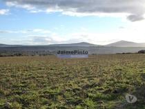 Propriedade 135.000m2 de terra p plantações novas. Portugal,
