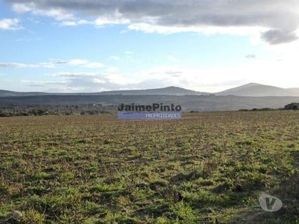Terrenos a venda - Fotos para Propriedade 135.000m2 de terra p plantações novas. Portugal,