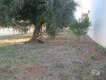 Entroncamento-TERRENO PARA CONSTRUÇÃO DE MORADIA. (2432)
