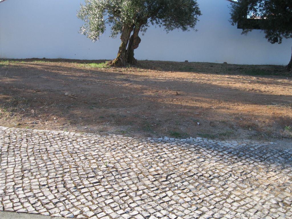 Terrenos Entroncamento - Fotos para Entroncamento-TERRENO PARA CONSTRUÇÃO DE MORADIA. (2431)