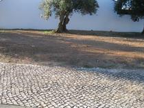 Entroncamento-TERRENO PARA CONSTRUÇÃO DE MORADIA. (2431)