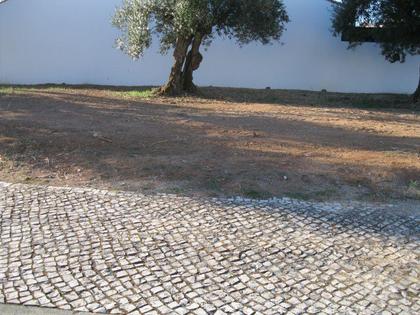 Terrenos a venda - Fotos para Entroncamento-TERRENO PARA CONSTRUÇÃO DE MORADIA. (2431)
