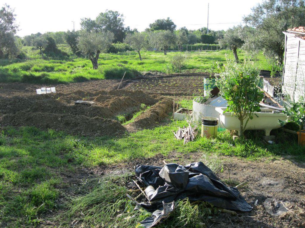 Terrenos Tomar - Fotos para Tomar-TERRENO AGRÍCOLA. POÇO. ÁRVORES. RESERVATÓRIO. (1934)