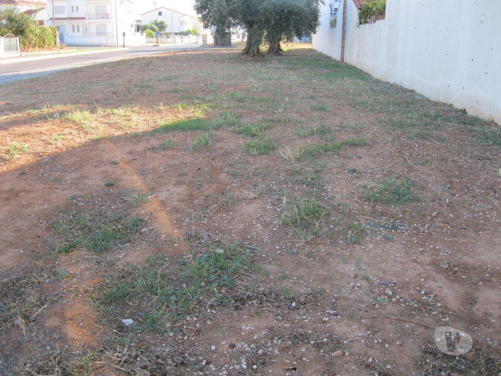 Terrenos Entroncamento - Fotos para TERRENO PARA CONSTRUÇÃO DE MORADIA COM 2 PISOS. (2430)
