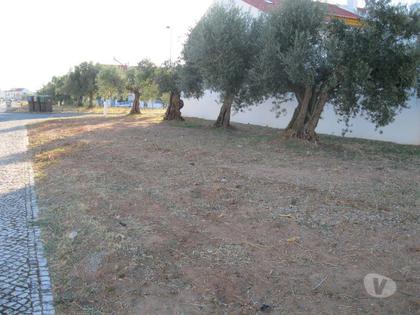Terrenos - Fotos para TERRENO PARA CONSTRUÇÃO DE MORADIA COM 2 PISOS. (2430)