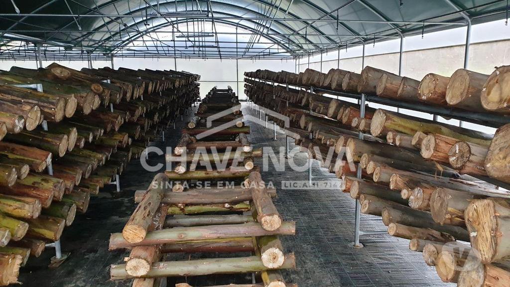 Terrenos Fafe - Fotos para Quinta com Armazens Estufas de produção Cogumelos (AR 04105)