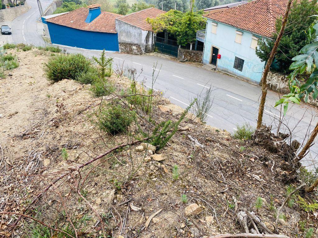 Terrenos Barcelos - Fotos para Terreno com 2600m2 de construção em Tamel S. Fins (PG0131)