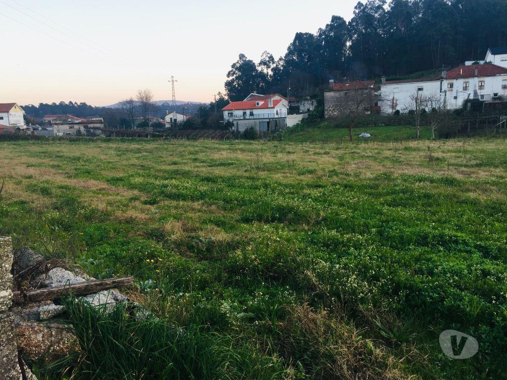 Terrenos Barcelos - Fotos para Barcelos-Terreno agrícola em Perelhal com 7 000m2 (257)