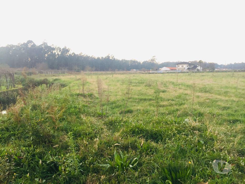 Terrenos Barcelos - Fotos para Barcelos-Terreno agrícola em Perelhal com 7 000m2 (257)