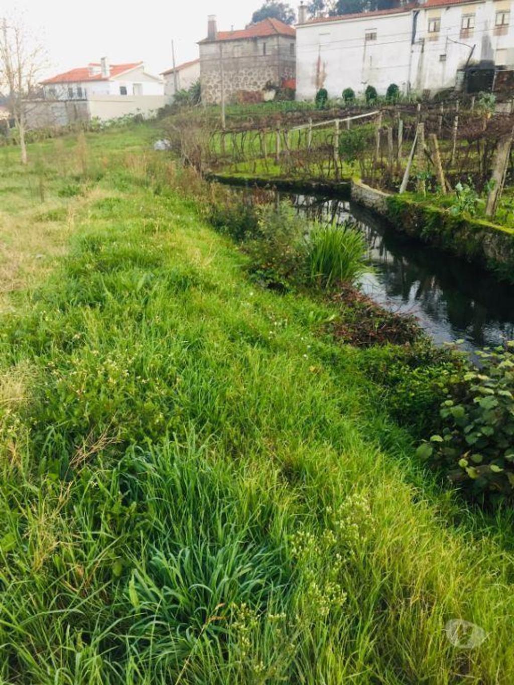 Terrenos Barcelos - Fotos para Barcelos-Terreno agrícola em Perelhal com 7 000m2 (257)