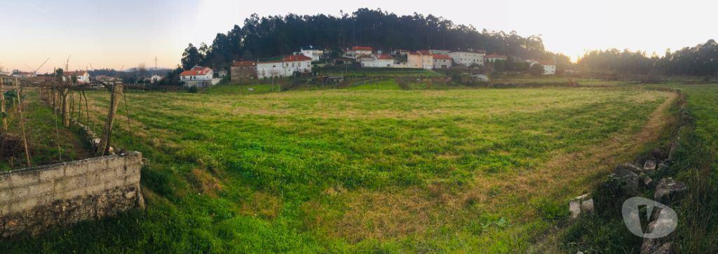 Terrenos Barcelos - Fotos para Barcelos-Terreno agrícola em Perelhal com 7 000m2 (257)
