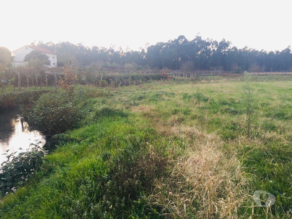 Terrenos Barcelos - Fotos para Barcelos-Terreno agrícola em Perelhal com 7 000m2 (257)