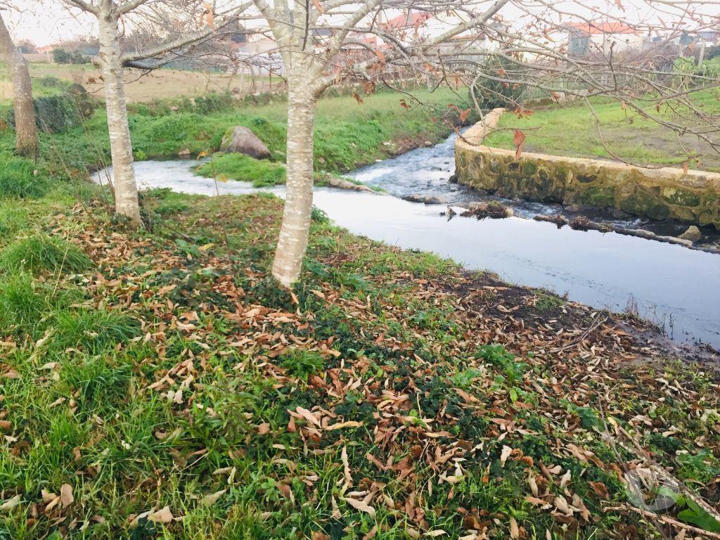 Terrenos Barcelos - Fotos para Barcelos-Terreno agrícola em Perelhal com 7 000m2 (257)
