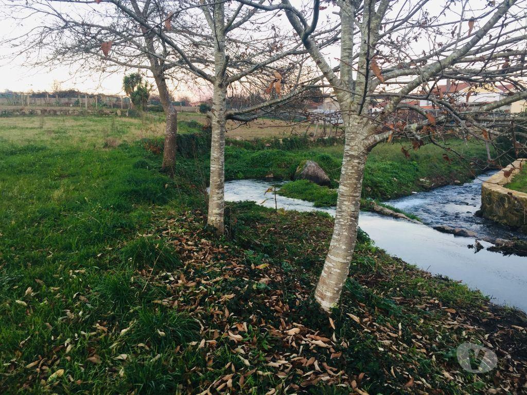 Terrenos Barcelos - Fotos para Barcelos-Terreno agrícola em Perelhal com 7 000m2 (257)