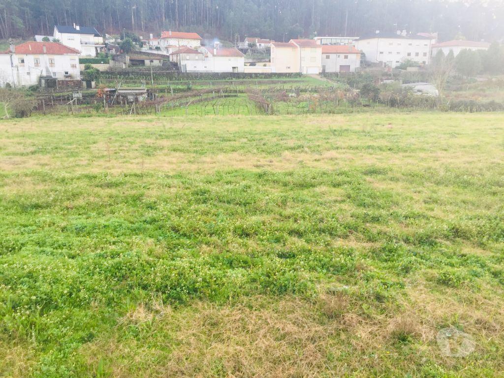 Terrenos Barcelos - Fotos para Barcelos-Terreno agrícola em Perelhal com 7 000m2 (257)