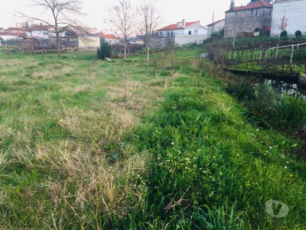 Terrenos Barcelos - Fotos para Barcelos-Terreno agrícola em Perelhal com 7 000m2 (257)