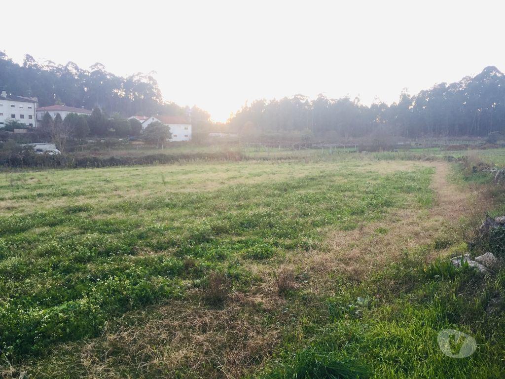 Terrenos Barcelos - Fotos para Barcelos-Terreno agrícola em Perelhal com 7 000m2 (257)