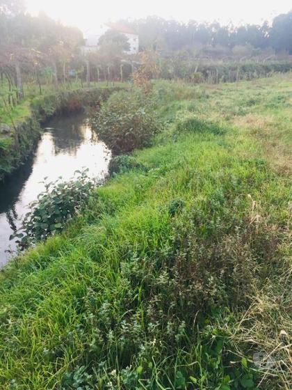 Terrenos a venda - Fotos para Barcelos-Terreno agrícola em Perelhal com 7 000m2 (257)