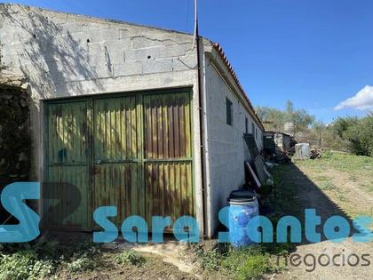 Terrenos - Fotos para Quinta Alto Douro com Vinhas- São João Pesqueira (SS0587)