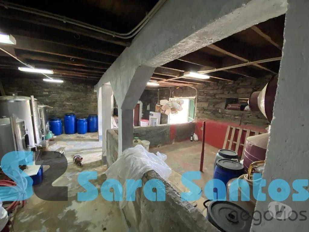 Terrenos São João da Pesqueira - Fotos para Quinta Alto Douro com Vinhas- São João Pesqueira (SS0589)
