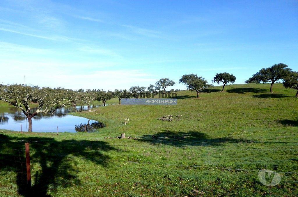 Terrenos Portalegre - Fotos para 241ha propriedade agrícola com barragens. Portugal, Portalegre,