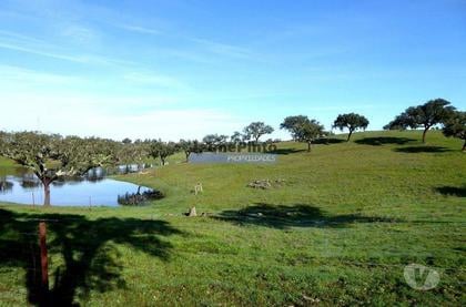 Terrenos a venda - Fotos para 241ha propriedade agrícola com barragens. Portugal, Portalegre,
