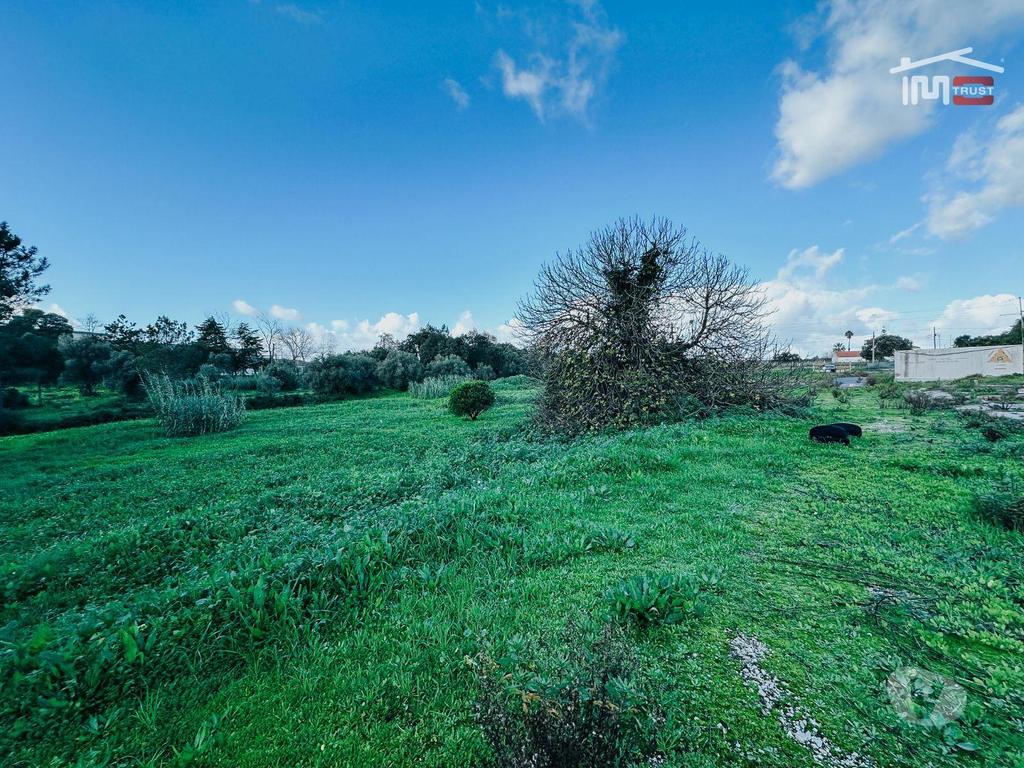 Terrenos Cartaxo - Fotos para Venda de Terreno Urbano Residencial + Terreno Rústico - Cartaxo