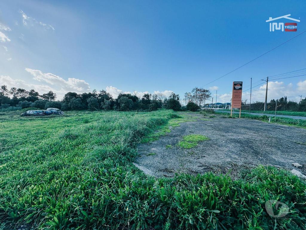 Terrenos Cartaxo - Fotos para Venda de Terreno Urbano Residencial + Terreno Rústico - Cartaxo