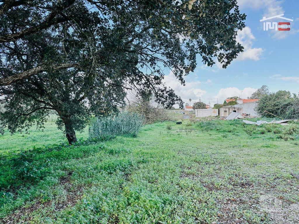 Terrenos Cartaxo - Fotos para Venda de Terreno Urbano Residencial + Terreno Rústico - Cartaxo