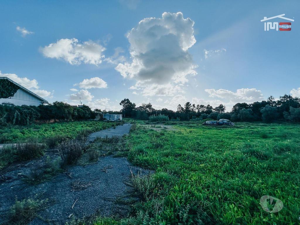 Terrenos Cartaxo - Fotos para Venda de Terreno Urbano Residencial + Terreno Rústico - Cartaxo