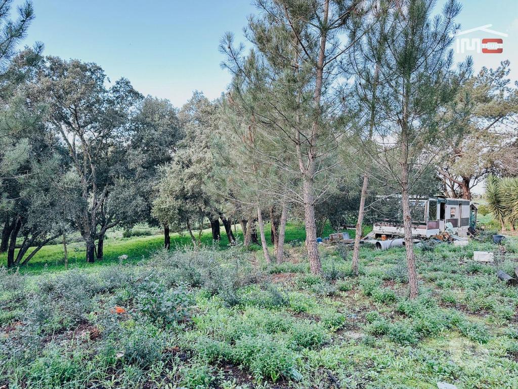 Terrenos Cartaxo - Fotos para Venda de Terreno Urbano Residencial + Terreno Rústico - Cartaxo