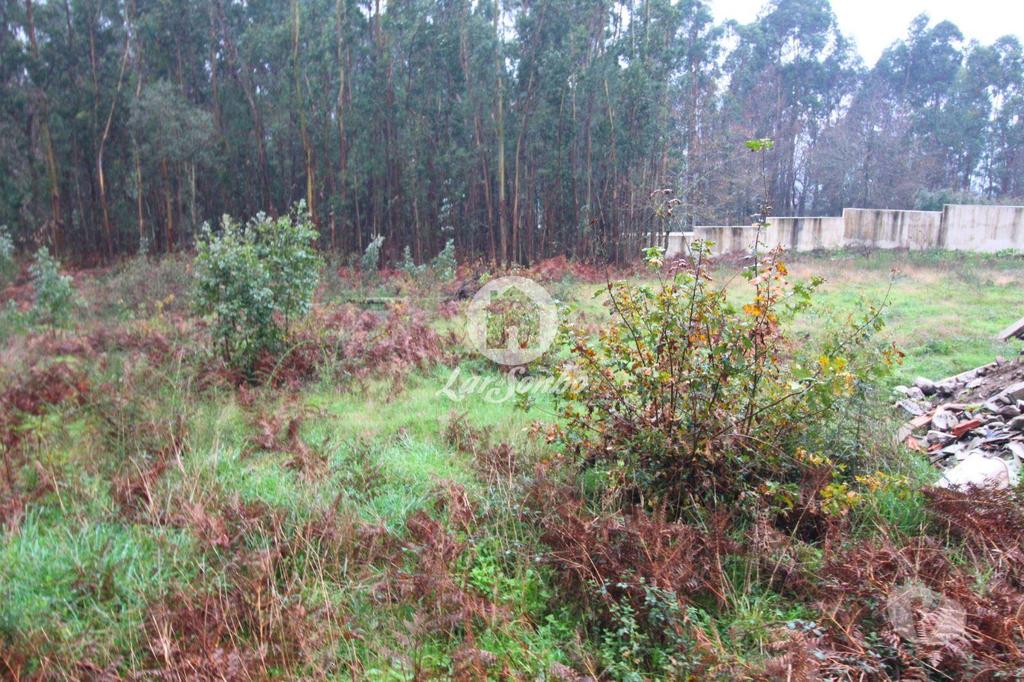 Terrenos Barcelos - Fotos para Barcelos-Terreno para Construção de moradias (265-T-01413)