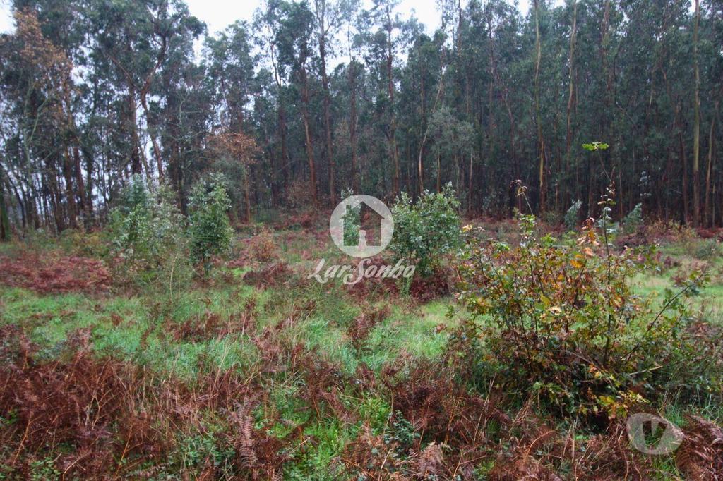 Terrenos Barcelos - Fotos para Barcelos-Terreno para Construção de moradias (265-T-01413)