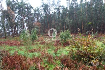 Terrenos e Quintas - Fotos para Barcelos-Terreno para Construção de moradias (265-T-01413)