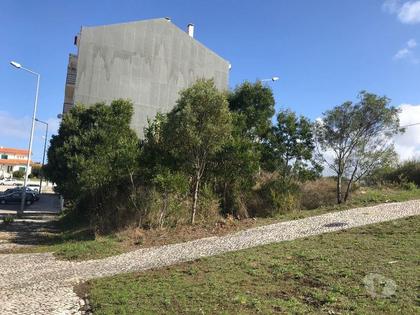 Terrenos - Fotos para Terreno p Construção em Altura em Loteamento c