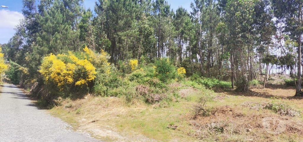 Terrenos Lousada - Fotos para Lote para moradia individual, novo, para venda, Lousada -