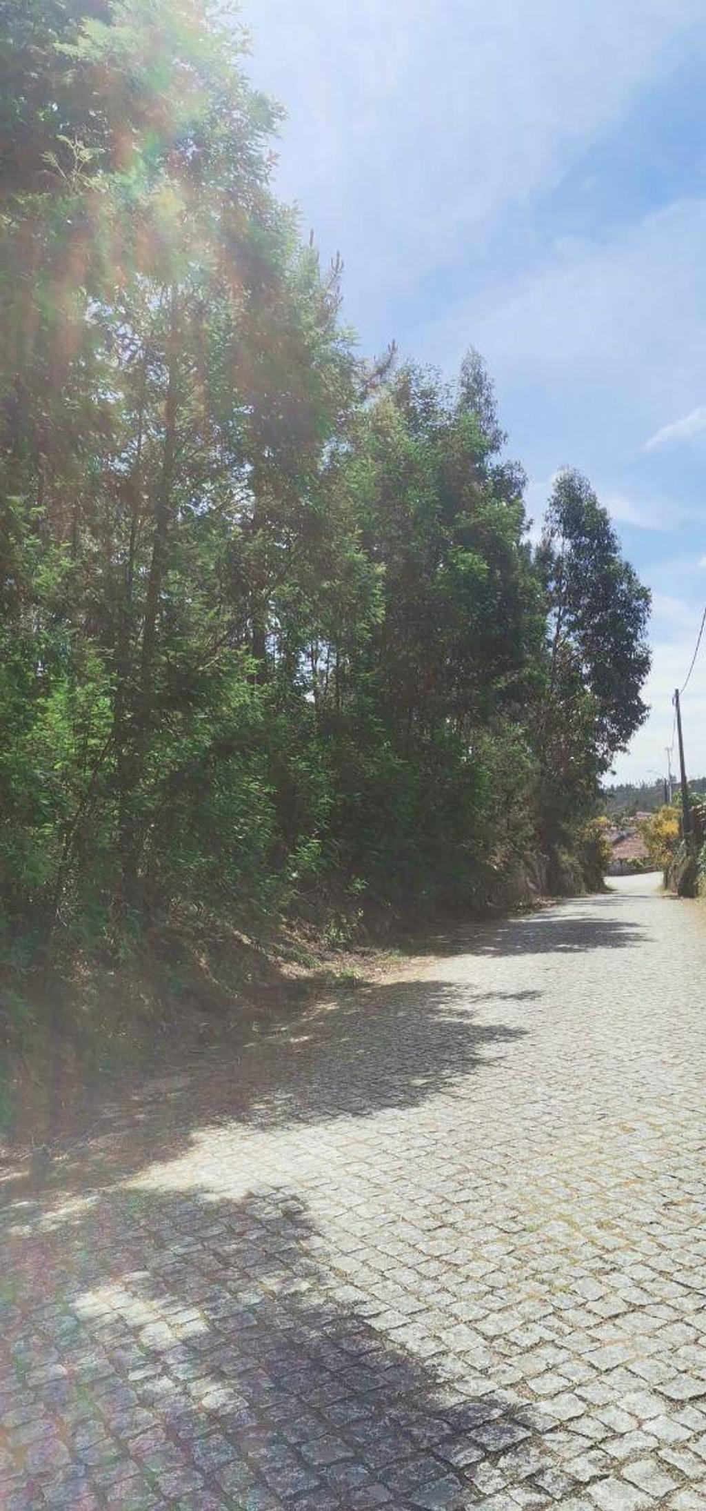 Terrenos Lousada - Fotos para Lote para moradia individual, novo, para venda, Lousada -
