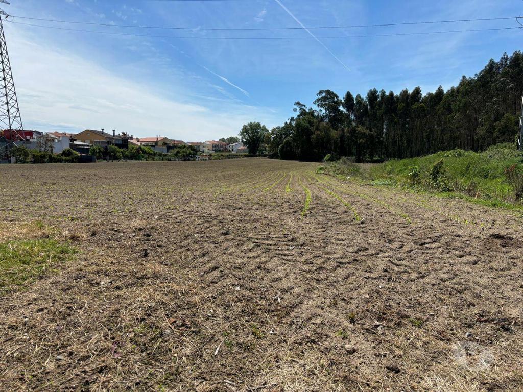 Comprar Loja Matosinhos - Fotos para Magnífico Terreno para Loteamento com 14.985,0m2 no centro de...