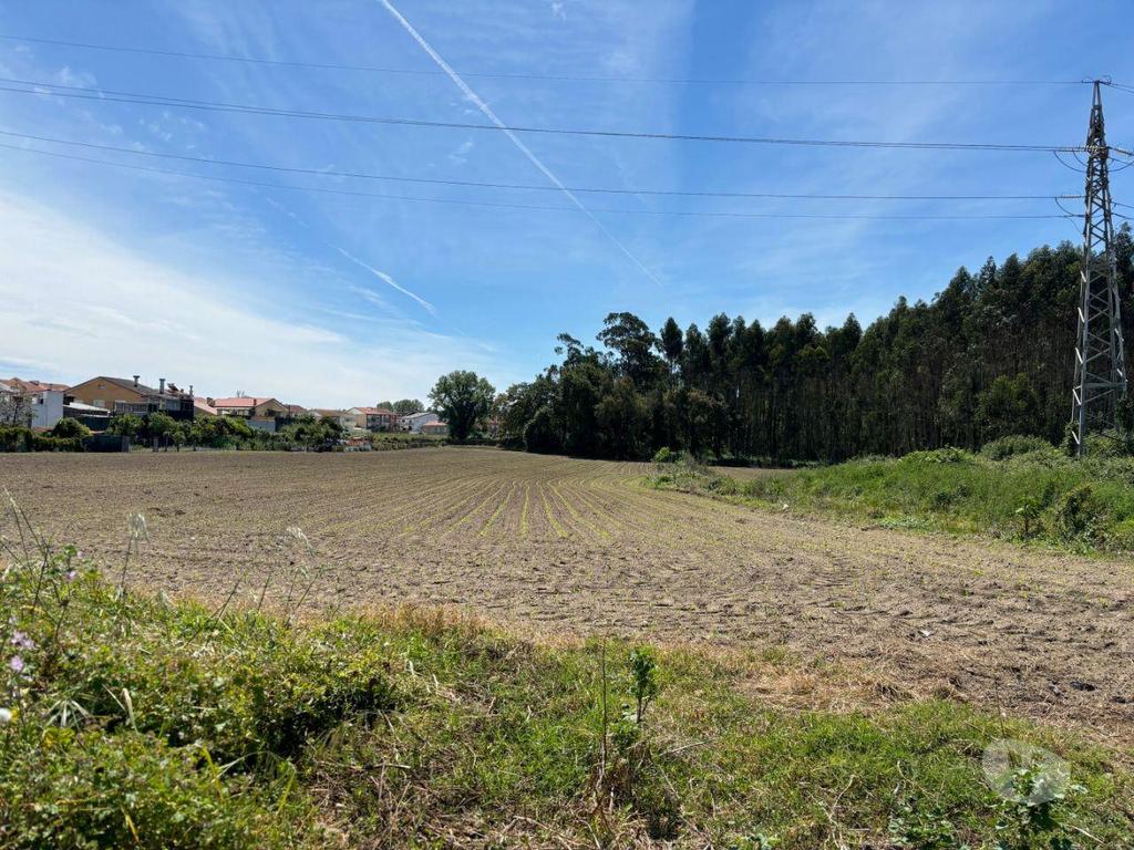 Comprar Loja Matosinhos - Fotos para Magnífico Terreno para Loteamento com 14.985,0m2 no centro de...