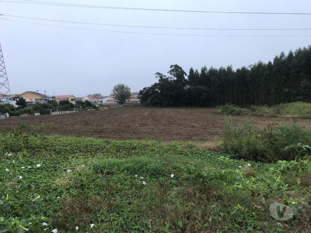 Comprar Loja Matosinhos - Fotos para Magnífico Terreno para Loteamento com 14.985,0m2 no centro de...