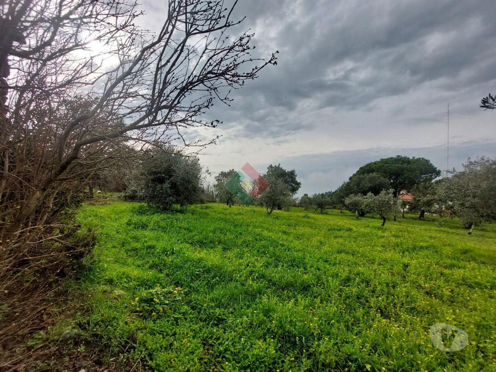 Terrenos Portalegre - Fotos para Quinta, para venda, Portalegre - Sé e São Lourenço (JL.11208)