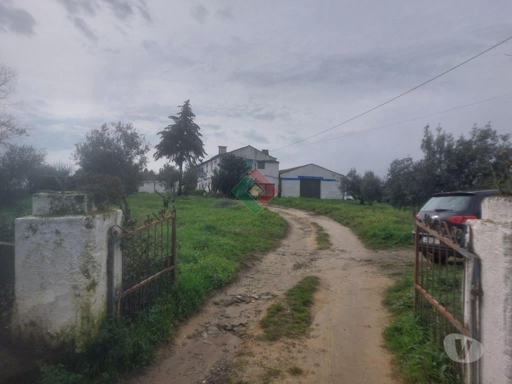 Terrenos Portalegre - Fotos para Quinta, para venda, Portalegre - Sé e São Lourenço (JL.11208)