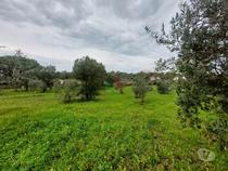 Quinta, para venda, Portalegre - Sé e São Lourenço (JL.11208)