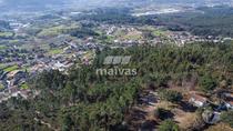 Terreno rústico, para venda, Braga - Mire de Tibães (A001-0231)